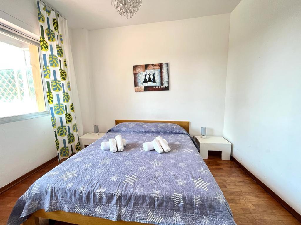 Imperiale Apartment Tirrenia Exterior photo